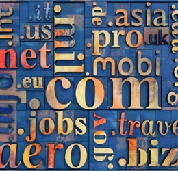 域名查詢地址注意問題