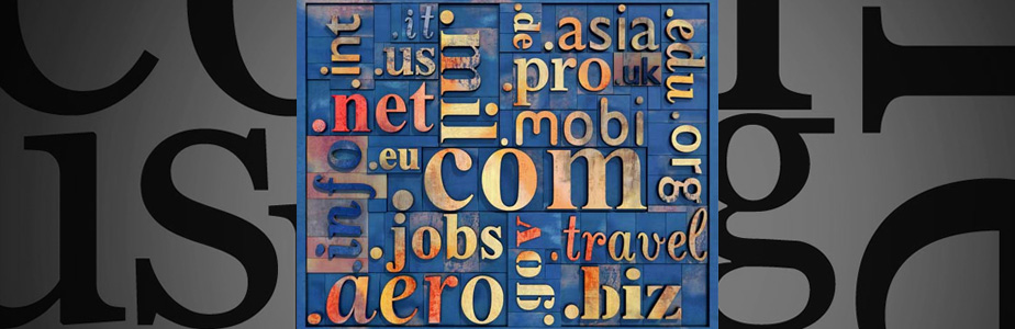 域名查詢地址注意問題